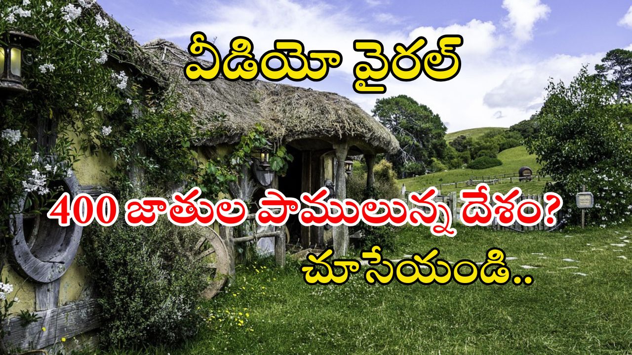 Snake News: పాములు లేని బ్యూటిఫుల్ దేశం ఏదో తెల్సా.. ఇదిగో వీడియో చూడండి..