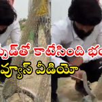 Watch Video: పామును కాపాడేందుకు పోతే.. జెట్ స్పీడ్‌తో! ఆ వీడియోకు 15M వ్యూస్