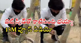 Watch Video: పామును కాపాడేందుకు పోతే.. జెట్ స్పీడ్‌తో! ఆ వీడియోకు 15M వ్యూస్