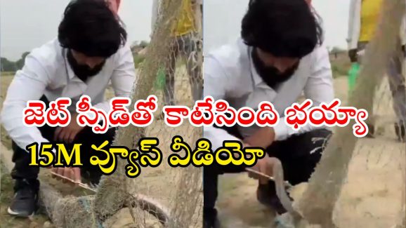 Watch Video: పామును కాపాడేందుకు పోతే.. జెట్ స్పీడ్‌తో! ఆ వీడియోకు 15M వ్యూస్