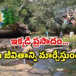 Sri Sailam Secret Temple: శ్రీశైలంలో రహస్య ఆలయం.. ఇది ప్రసాదమా? పవిత్ర సంకేతమా?