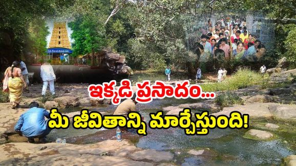 Sri Sailam Secret Temple: శ్రీశైలంలో రహస్య ఆలయం.. ఇది ప్రసాదమా? పవిత్ర సంకేతమా?