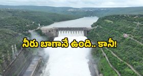 America: అమెరికా లెవెల్ 2 అడ్వైజరీ.. ఒంటిరిగా వెళ్లొద్దంటూ వార్నింగ్