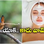 Strangest Beauty Tip: పిట్ట రెట్టతో ఫేషియల్.. సెలబ్రిటీల సీక్రెట్ బ్యూటీ టిప్!