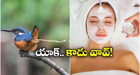 Strangest Beauty Tip: పిట్ట రెట్టతో ఫేషియల్.. సెలబ్రిటీల సీక్రెట్ బ్యూటీ టిప్!