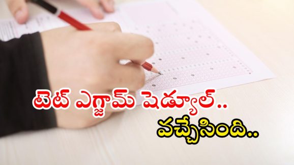 TET Exam: తెలంగాణ టెట్ ఎగ్జామ్ షెడ్యూల్ వచ్చేసింది..