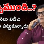 Telugu Heroes Remuneration : ఫిల్మ్ ఛాంబర్ సెక్రటరీ శ్రీధర్ వ్యాఖ్యల్లో తప్పేముంది ?