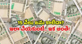 Allu Family: ఆస్తిలో వాటాలు ఇవ్వండి.. అల్లు కుటుంబంలో మొదలైన ఆస్తి పంపకాలు!