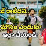 Talliki Vandanam Scheme: మీకు తల్లికి వందనం డబ్బులు జమ కాలేదా? కారణం ఇదే కావచ్చు..!