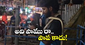 Viral Video: పామును మెడలో వేసుకుని.. బీరు తాగిస్తూ.. మందుబాబు వీరంగం!