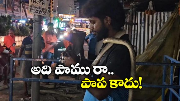 Viral Video: పామును మెడలో వేసుకుని.. బీరు తాగిస్తూ.. మందుబాబు వీరంగం!