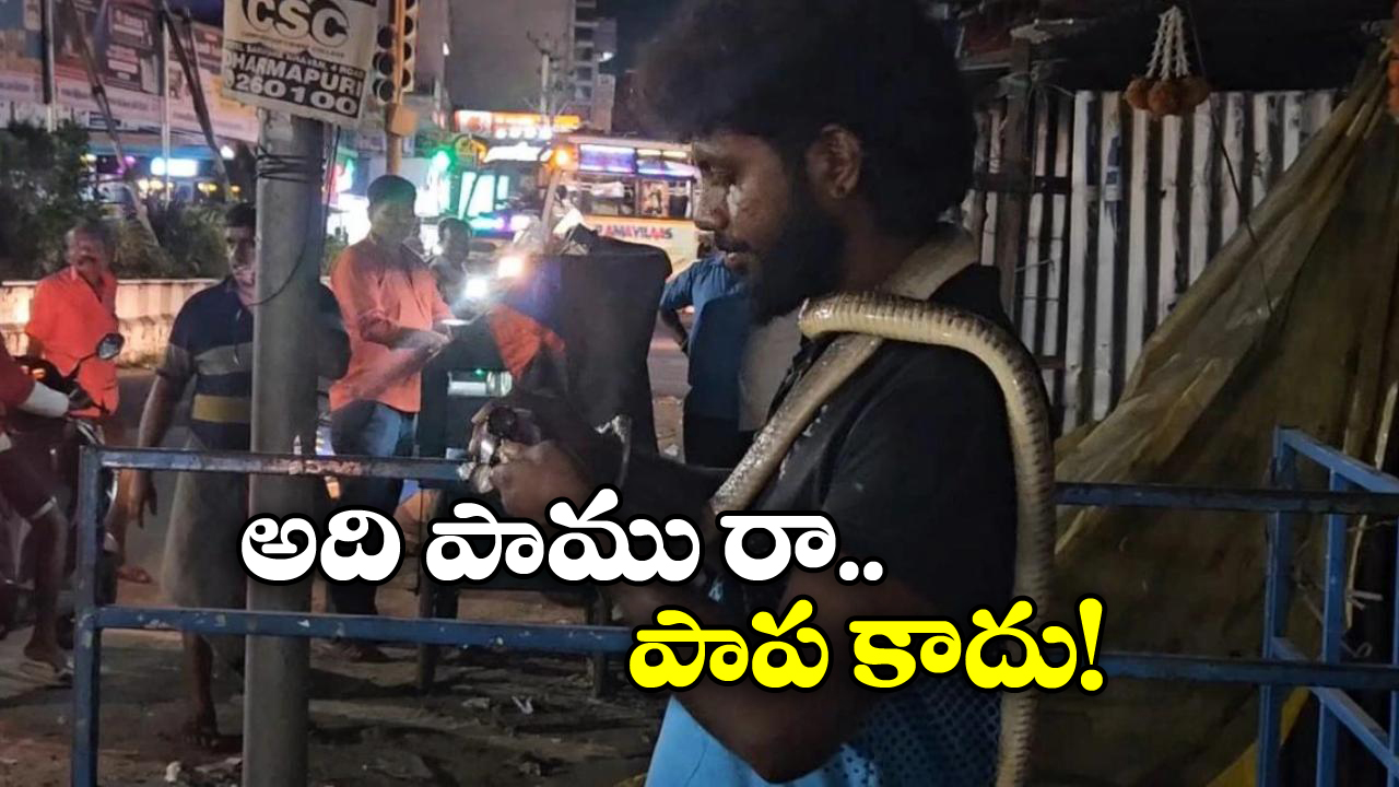 Viral Video: పామును మెడలో వేసుకుని.. బీరు తాగిస్తూ.. మందుబాబు వీరంగం!