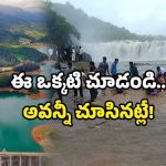Telangana Ooty: తెలంగాణ ఊటీ అంటే అసలు సిసలైన ప్లేస్ ఇదే.. వీకెండ్ కదా.. ఇప్పుడే ట్రిప్ వేయండి!