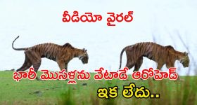 Vijay Devarakonda: ఎవరిని కించపరచాలని మాట్లాడలేదు... వివరణ ఇచ్చిన విజయ్ దేవరకొండ!