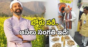 Bees Attack Players : మ్యాచ్ మధ్యలో తేనెటీగలు.. క్రికెటర్లకు నరకం చూపించాయి కదా