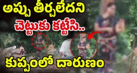 HBD Sindhu Menon: చందమామ హీరోయిన్ గుర్తుందా.. ఇప్పుడు ఎక్కడ, ఏం చేస్తోందో తెలుసా?