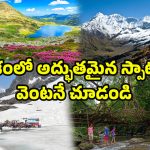 Beautiful Trekking Places: ఇండియాలో బెస్ట్ ట్రెక్కింగ్ ప్రదేశాలు ఇవే!