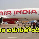 Air India Flight Cancel: ఎయిర్ ఇండియా విమానాలు రద్దు.. ఏంటీ వరుస కష్టనష్టాలు?