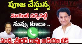 Little Millet: సామలు తింటే.. షుగర్ రాదు, కొలెస్ట్రాల్ పెరగదు, మరెన్నో ప్రయోజనాలు