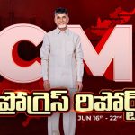 CM Chandrababu: సర్క్యూలర్ ఎకానమీపై సమీక్ష.. 11 రంగాలపై ఏపీ సర్కార్ ఫోకస్