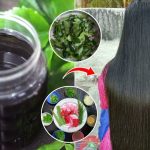 Herbal Oil for Long Hair: జుట్టు ఒత్తుగా, ఫాస్ట్‌గా పెరుగాలంటే.. ఈ హెర్బల్ హెయిర్ ఆయిల్ ట్రై చేయండి