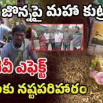 Mulugu District: బిగ్ టీవీ ఎఫెక్ట్.. జన్యు మార్పిడి విత్తనాల బాధితులకు.. నష్ట పరిహారం
