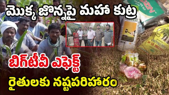 Mulugu District: బిగ్ టీవీ ఎఫెక్ట్.. జన్యు మార్పిడి విత్తనాల బాధితులకు.. నష్ట పరిహారం