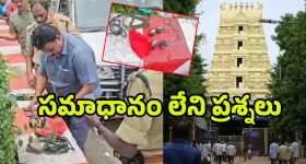 Hangover Prevention Tips: భయం లేకుండా పార్టీ ఎంజాయ్ చేయండి.. ఈ టిప్స్ పాటిస్తే నో హ్యాంగోవర్