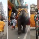 Ahmedabad Rath Yatra: జనం మీదకు ఏనుగులు.. జగన్నాధుడి రథయాత్రలో అలజడి