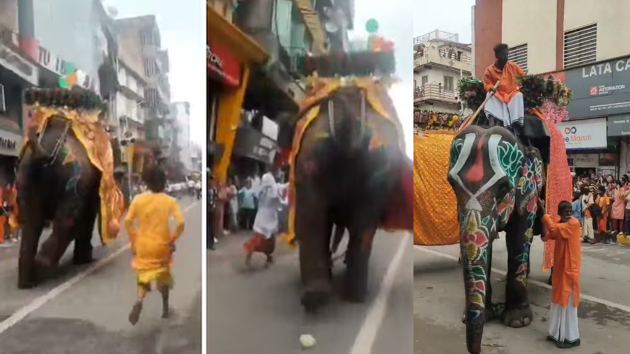 Ahmedabad Rath Yatra: జనం మీదకు ఏనుగులు.. జగన్నాధుడి రథయాత్రలో అలజడి