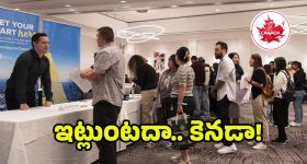 Agent Movie: అఖిల్ ఏజెంట్ అందుకే ఫ్లాప్ అయింది.. కావాలనే చేశారా?