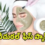 Homemade Facial: జిడ్డు చర్మానికి మేలు చేసే ఫేస్ ప్యాక్స్.. ఇంట్లోనే తయారు చేసుకోండి..