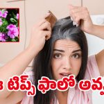 White Hair Tips: చిన్న వయస్సులోనే తెల్లజుట్టు వస్తుందా? మీ సమస్యకు ఇదిగో పరిష్కారం