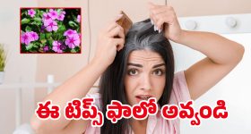 Jacana Bird: ఈ పక్షి మన ‘టిల్లు’ మూవీలో రాధిక టైపు.. గుడ్లు పెట్టడం వరకే దీని బాధ్యత.. తర్వాత?