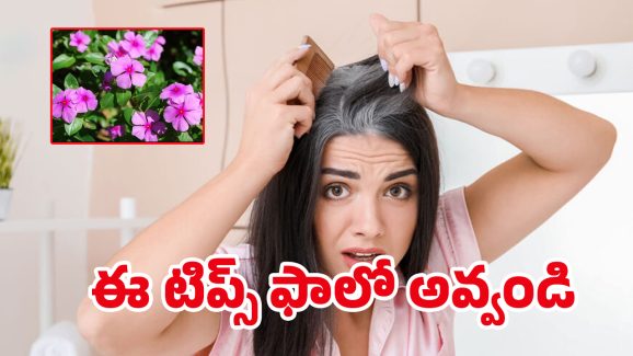 White Hair Tips: చిన్న వయస్సులోనే తెల్లజుట్టు వస్తుందా? మీ సమస్యకు ఇదిగో పరిష్కారం