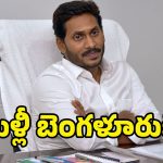 YS Jagan: ప్యాలెస్‌లో జగన్.. రోడ్లపై క్యాడర్