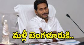 YS Jagan: ప్యాలెస్‌లో జగన్.. రోడ్లపై క్యాడర్