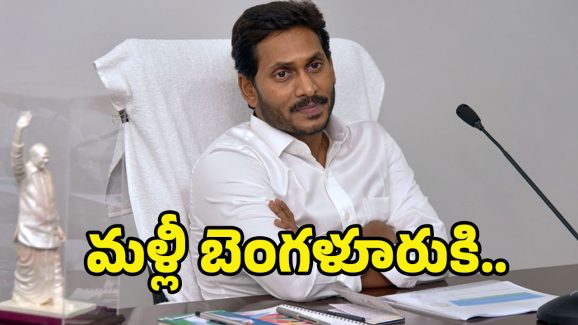 YS Jagan: ప్యాలెస్‌లో జగన్.. రోడ్లపై క్యాడర్