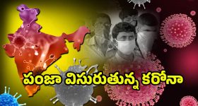 Coronavirus Deaths Update: కరోనా డేంజర్ బెల్స్‌.. ఒక్క రోజే ఏడుగురు మృతి