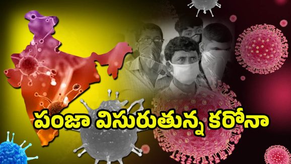 Coronavirus Deaths Update: కరోనా డేంజర్ బెల్స్‌.. ఒక్క రోజే ఏడుగురు మృతి
