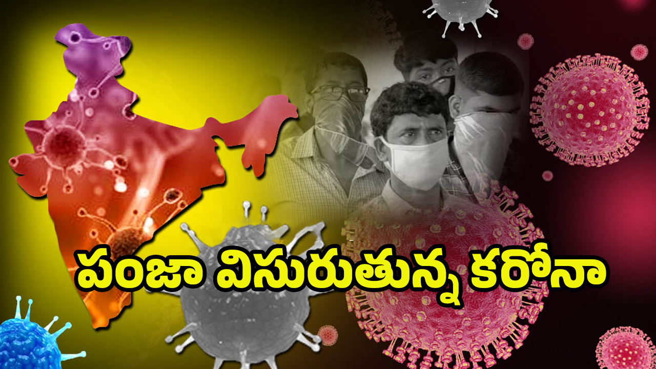Coronavirus Deaths Update: కరోనా డేంజర్ బెల్స్‌.. ఒక్క రోజే ఏడుగురు మృతి