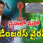 New virus In China: చావు కబురు చల్లగా చెప్పిన చైనా.. గబ్బిలం ద్వారా మరో వైరస్
