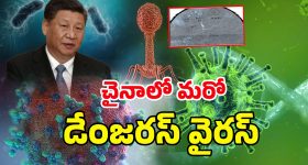 New virus In China: చావు కబురు చల్లగా చెప్పిన చైనా.. గబ్బిలం ద్వారా మరో వైరస్