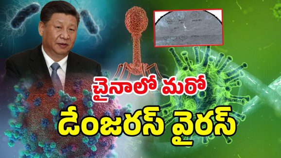 New virus In China: చావు కబురు చల్లగా చెప్పిన చైనా.. గబ్బిలం ద్వారా మరో వైరస్