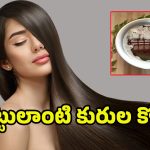 Curry Leaves Hair Oil: కరివేపాకుతో ఈ హెయిర్ ఆయిల్ ట్రై చేయండి.. పొడవాటి జుట్టు మీ సొంతం