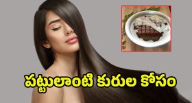 Curry Leaves Hair Oil: కరివేపాకుతో ఈ హెయిర్ ఆయిల్ ట్రై చేయండి.. పొడవాటి జుట్టు మీ సొంతం
