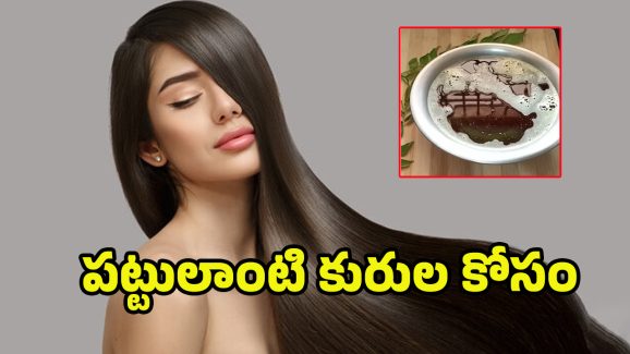 Curry Leaves Hair Oil: కరివేపాకుతో ఈ హెయిర్ ఆయిల్ ట్రై చేయండి.. పొడవాటి జుట్టు మీ సొంతం