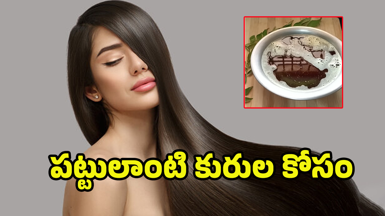 Curry Leaves Hair Oil: కరివేపాకుతో ఈ హెయిర్ ఆయిల్ ట్రై చేయండి.. పొడవాటి జుట్టు మీ సొంతం