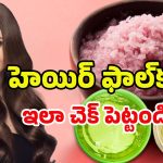 Onion for Hair Care: ఉల్లితో ఇలా చేస్తే.. ఊడిన జుట్టు మళ్లీ వస్తుంది తెలుసా?