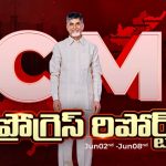 CM Chandrababu: ఏపీ సర్కార్ సంచలన నిర్ణయం.. ఎకనామిక్ రీజియన్‌గా విశాఖ